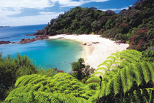 Whale Bay, Courtesy of Destination Northland
